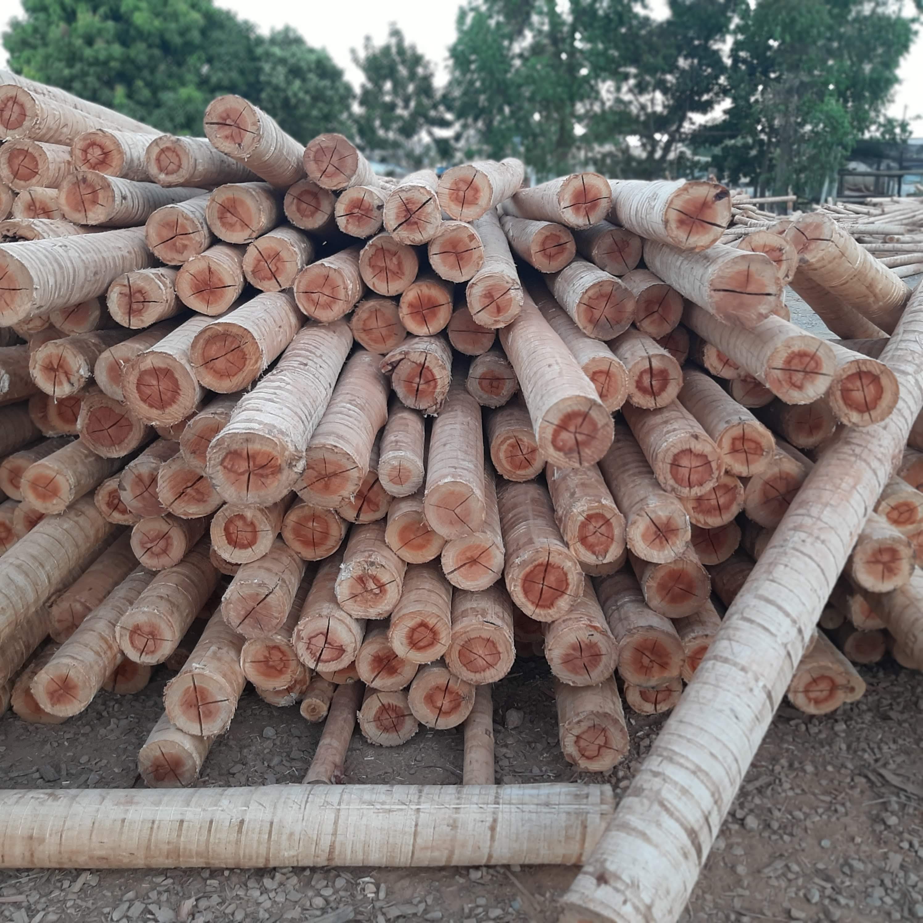ESTACAS<br>MOURÕES
